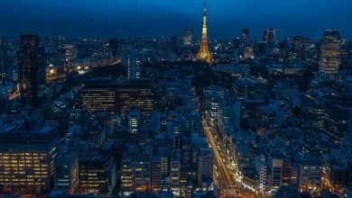 best-time-to-travel-to-tokyo:-a-complete-guide-by-season